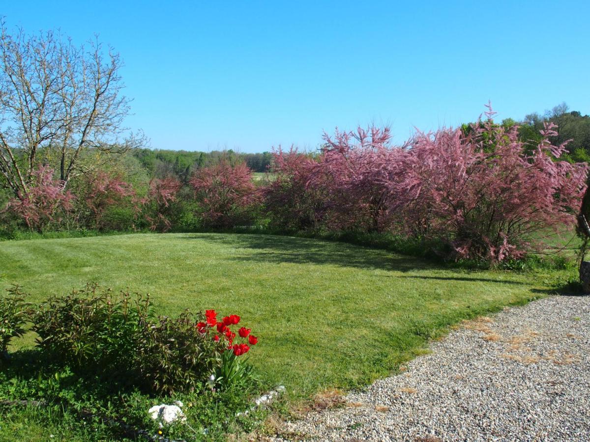 Les Tamaris Bed & Breakfast Castelnau-sur-Gupie Exterior photo